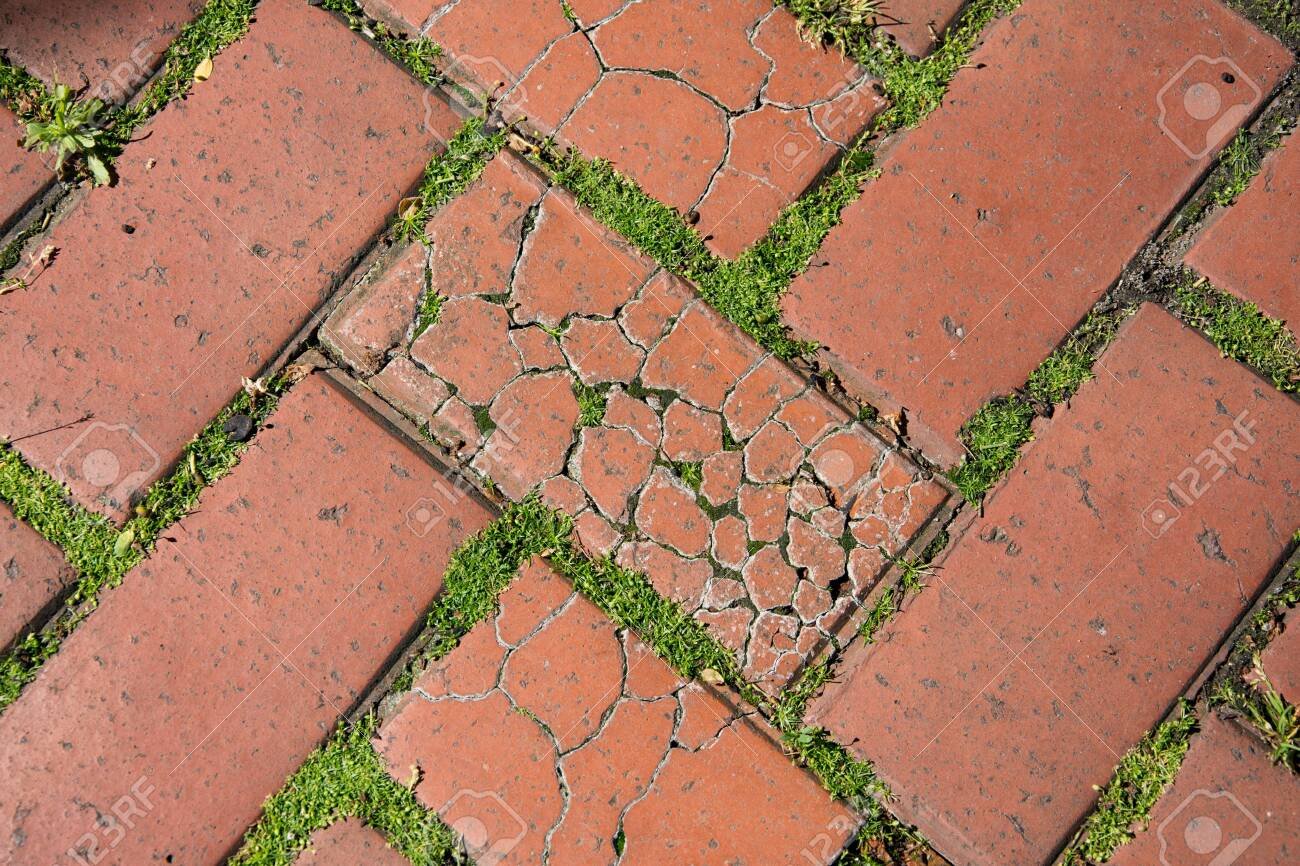 123970611-cracked-red-pavement-tile-overgrown-with-grass-close-up-horizontal-photo-.jpg.56b95b4b61a91841cdd870150b54d8f1.jpg