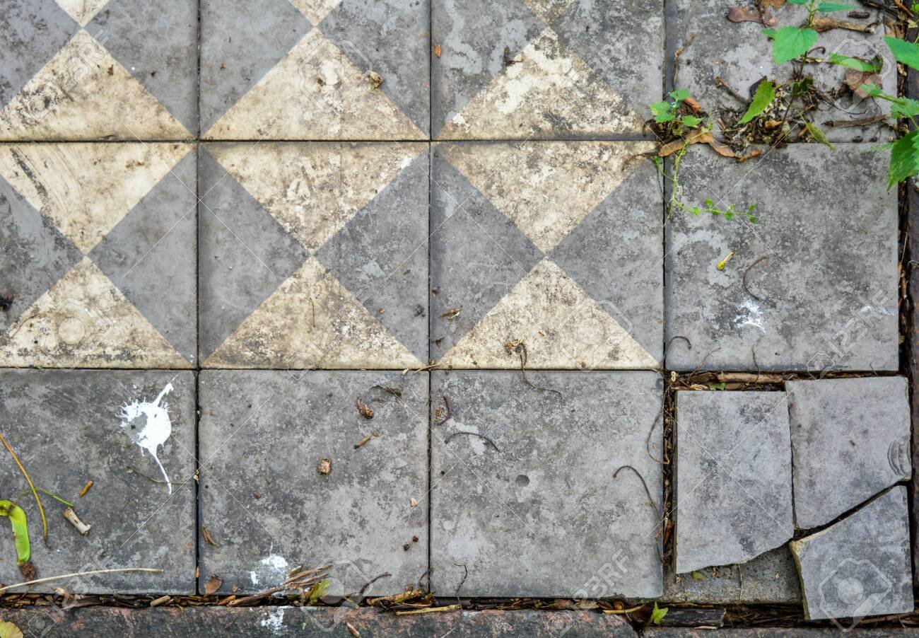 129404758-vintage-cracked-brickwork-floor-with-natural-trash-dirt-and-some-grass-white-and-gray-broken-dirty-t.jpg.de7a987012d8c927417206e94eaf5431.jpg