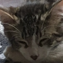 fluffy3111#0